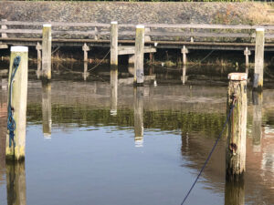 six mooring posts with white cap placed in the water of a harbor