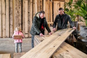 Advice on panels in the old wood shed