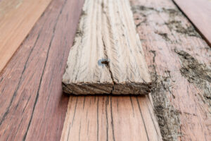 presentation planed tropical hardwood wagon plank